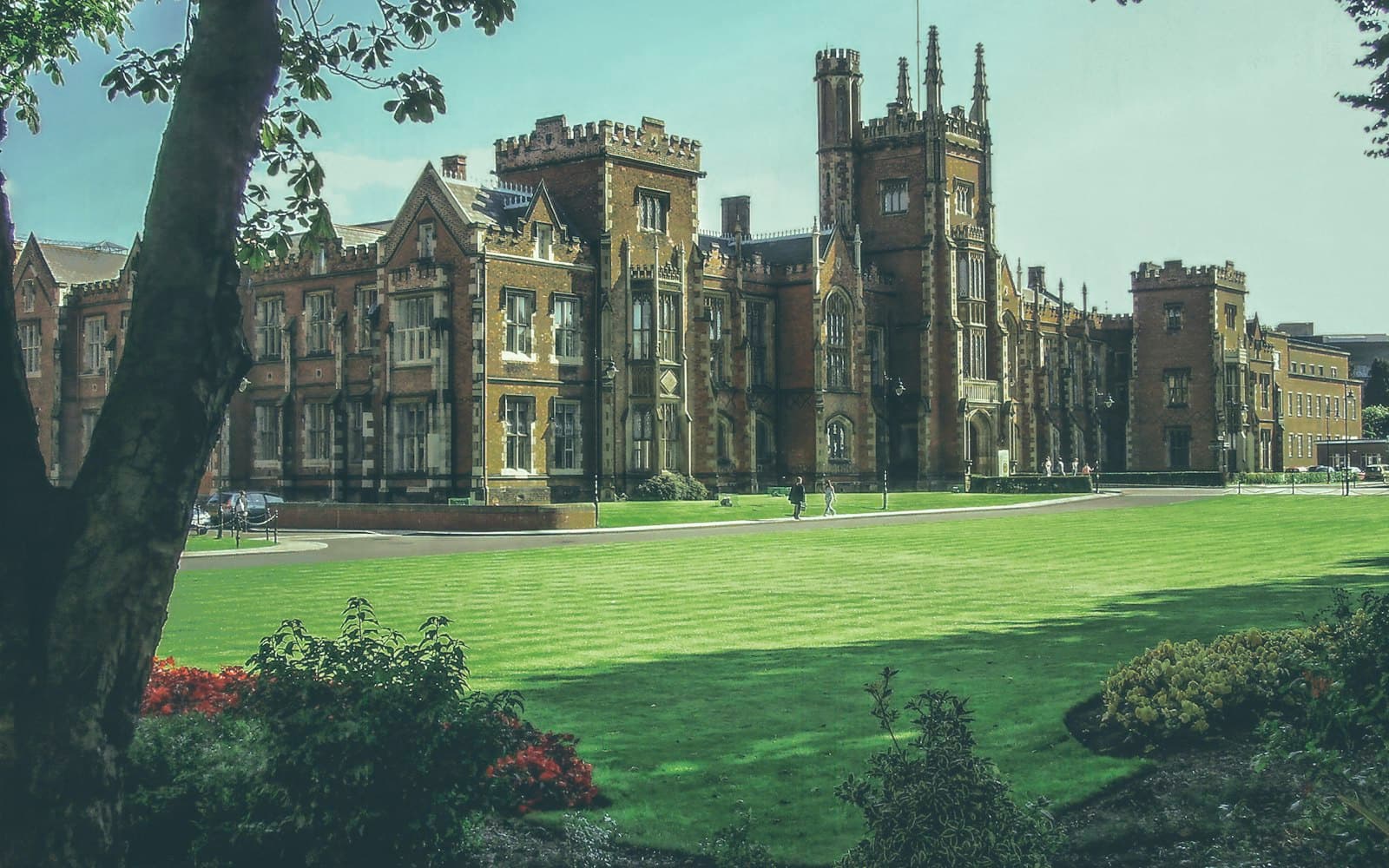 Students trading on campus